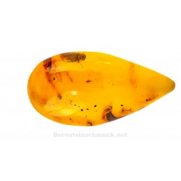 Amber with inclusions: beetle and mosquito