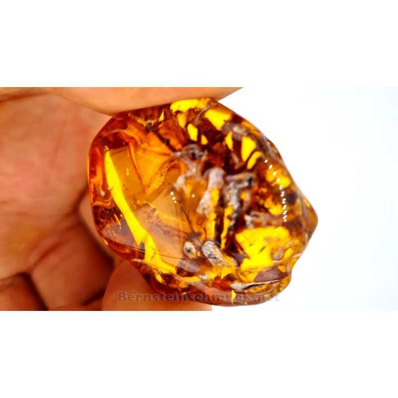 Amber with occlusal: branches in amber